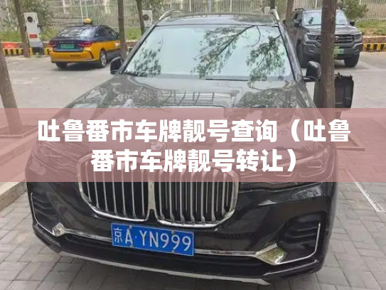 吐鲁番市车牌靓号查询（吐鲁番市车牌靓号转让）-第3张图片-七号汽车选号