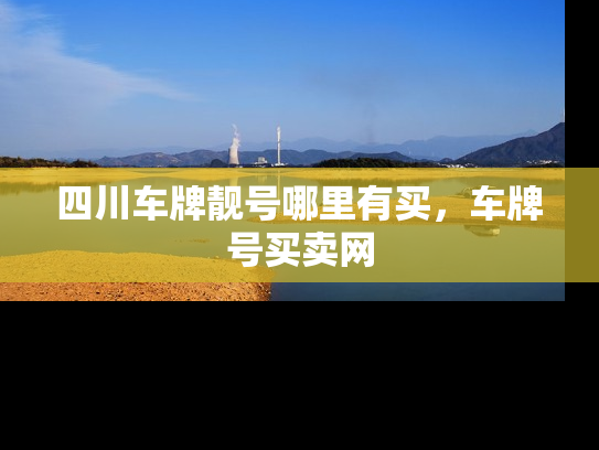 四川车牌靓号哪里有买，车牌号买卖网-第1张图片-七号汽车选号
