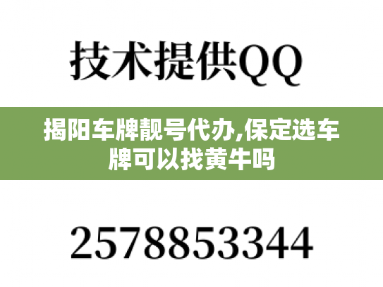 揭阳车牌靓号代办,保定选车牌可以找黄牛吗