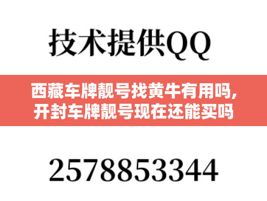 西藏车牌靓号找黄牛有用吗,开封车牌靓号现在还能买吗