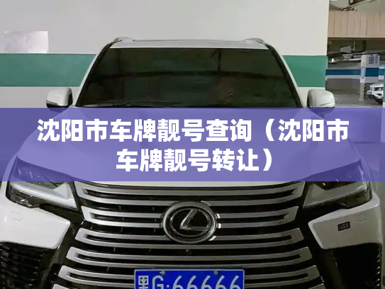 沈阳市车牌靓号查询（沈阳市车牌靓号转让）-第2张图片-七号汽车选号