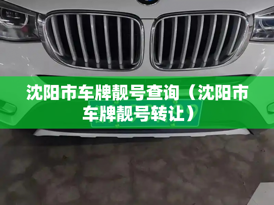 沈阳市车牌靓号查询（沈阳市车牌靓号转让）-第3张图片-七号汽车选号