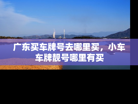 广东买车牌号去哪里买，小车车牌靓号哪里有买-第1张图片-七号汽车选号
