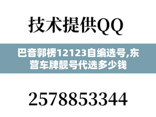 巴音郭楞12123自编选号,东营车牌靓号代选多少钱
