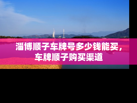 淄博顺子车牌号多少钱能买，车牌顺子购买渠道-第1张图片-七号汽车选号