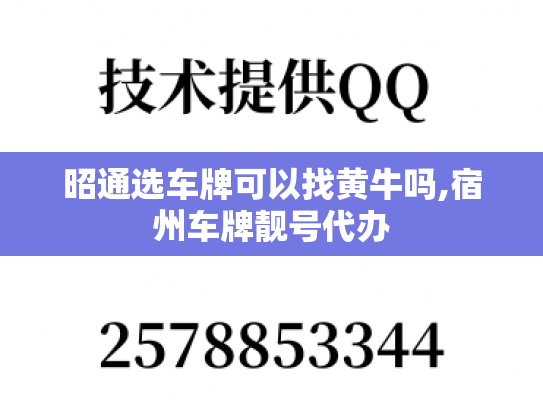 昭通选车牌可以找黄牛吗,宿州车牌靓号代办