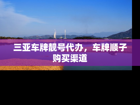 三亚车牌靓号代办，车牌顺子购买渠道-第1张图片-七号汽车选号
