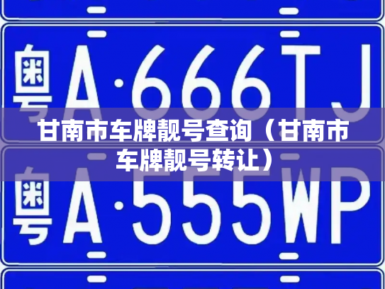 甘南市车牌靓号查询（甘南市车牌靓号转让）