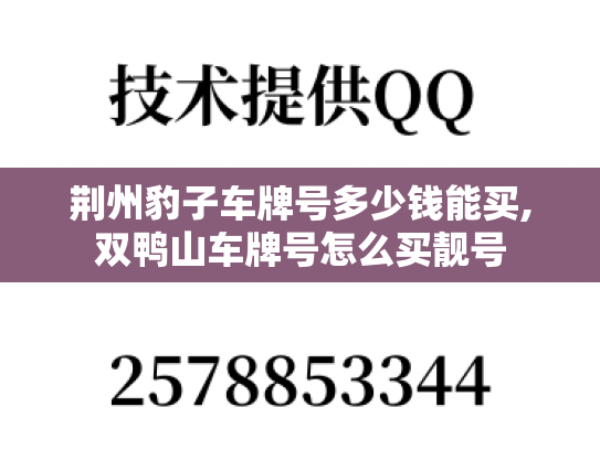 荆州豹子车牌号多少钱能买,双鸭山车牌号怎么买靓号