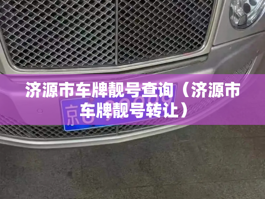 济源市车牌靓号查询（济源市车牌靓号转让）-第3张图片-七号汽车选号