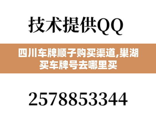 四川车牌顺子购买渠道,巢湖买车牌号去哪里买