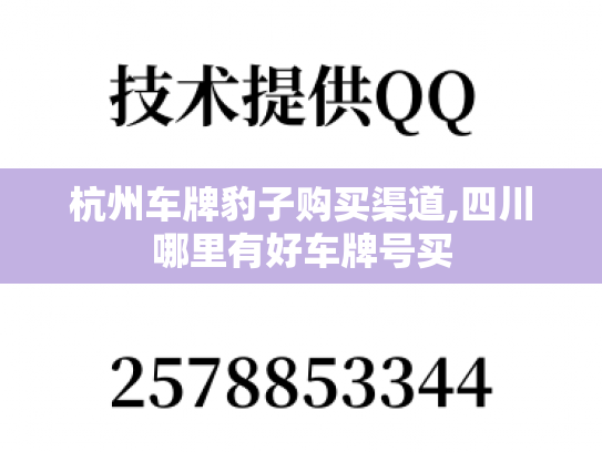 杭州车牌豹子购买渠道,四川哪里有好车牌号买