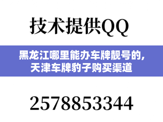 黑龙江哪里能办车牌靓号的,天津车牌豹子购买渠道