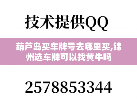 葫芦岛买车牌号去哪里买,锦州选车牌可以找黄牛吗