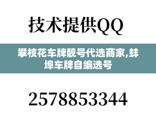 攀枝花车牌靓号代选商家,蚌埠车牌自编选号