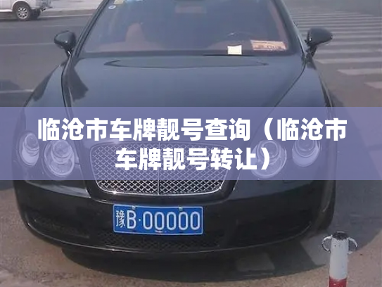 临沧市车牌靓号查询（临沧市车牌靓号转让）-第3张图片-七号汽车选号