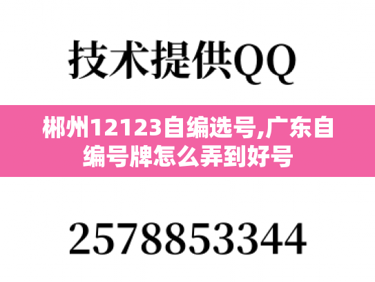 郴州12123自编选号,广东自编号牌怎么弄到好号