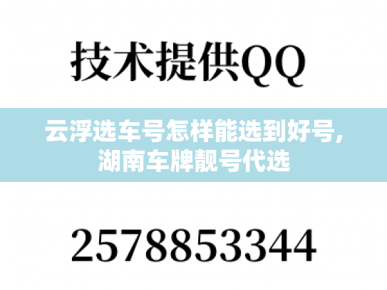 云浮选车号怎样能选到好号,湖南车牌靓号代选