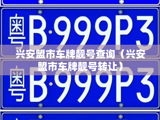 兴安盟市车牌靓号查询（兴安盟市车牌靓号转让）-第3张图片-七号汽车选号