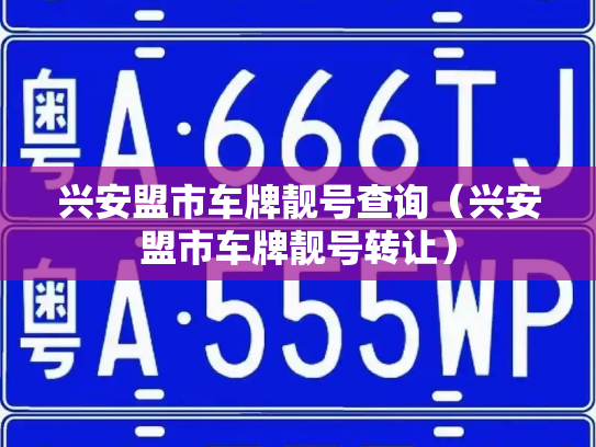 兴安盟市车牌靓号查询（兴安盟市车牌靓号转让）