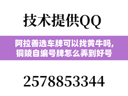阿拉善选车牌可以找黄牛吗,铜陵自编号牌怎么弄到好号