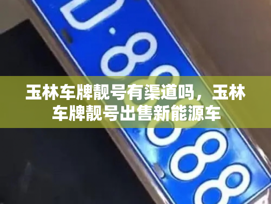 玉林车牌靓号有渠道吗,玉林车牌靓号出售新能源车-第2张图片-七号汽车选号 玉林车牌靓号有渠道吗,玉林车牌靓号出售新能源车-第2张图片-七号汽车选号