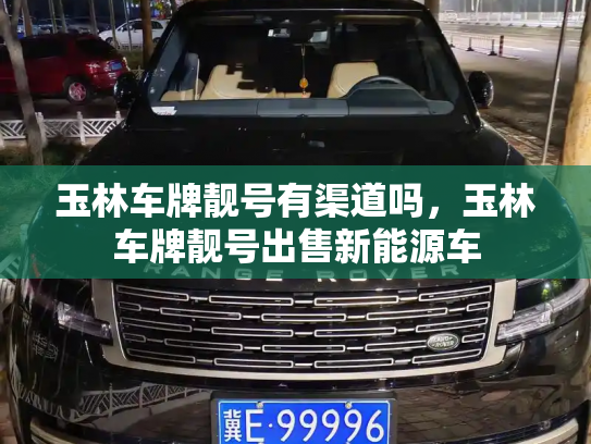 玉林车牌靓号有渠道吗,玉林车牌靓号出售新能源车-第3张图片-七号汽车选号 玉林车牌靓号有渠道吗,玉林车牌靓号出售新能源车-第3张图片-七号汽车选号