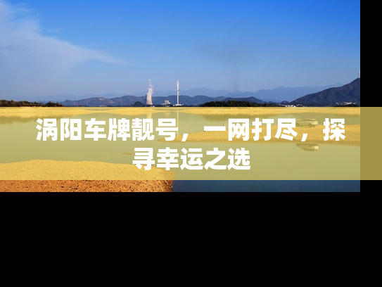 涡阳车牌靓号，一网打尽，探寻幸运之选