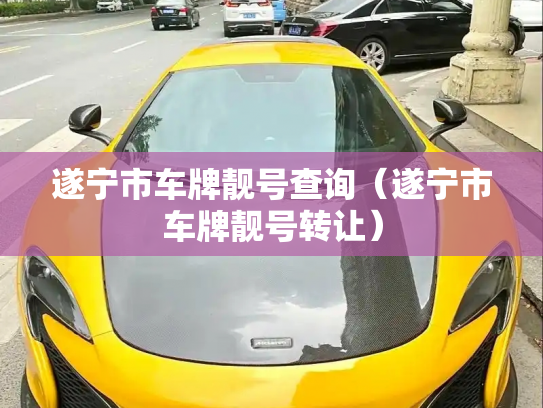 遂宁市车牌靓号查询(遂宁市车牌靓号转让)-第2张图片-七号汽车选号 遂宁市车牌靓号查询(遂宁市车牌靓号转让)-第2张图片-七号汽车选号