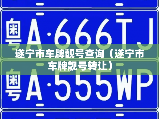 遂宁市车牌靓号查询(遂宁市车牌靓号转让)-第3张图片-七号汽车选号 遂宁市车牌靓号查询(遂宁市车牌靓号转让)-第3张图片-七号汽车选号