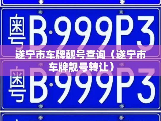 遂宁市车牌靓号查询（遂宁市车牌靓号转让）