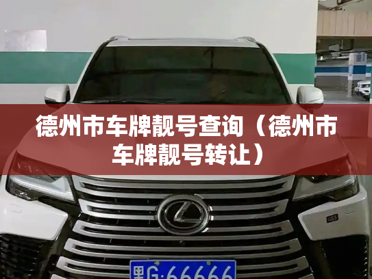 德州市车牌靓号查询(德州市车牌靓号转让)-第2张图片-七号汽车选号 德州市车牌靓号查询(德州市车牌靓号转让)-第2张图片-七号汽车选号