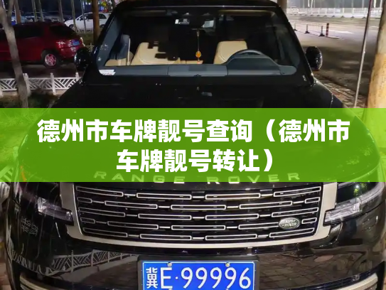 德州市车牌靓号查询（德州市车牌靓号转让）