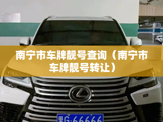 南宁市车牌靓号查询（南宁市车牌靓号转让）-第3张图片-七号汽车选号