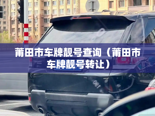 莆田市车牌靓号查询（莆田市车牌靓号转让）