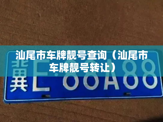 汕尾市车牌靓号查询(汕尾市车牌靓号转让)-第3张图片-七号汽车选号 汕尾市车牌靓号查询(汕尾市车牌靓号转让)-第3张图片-七号汽车选号
