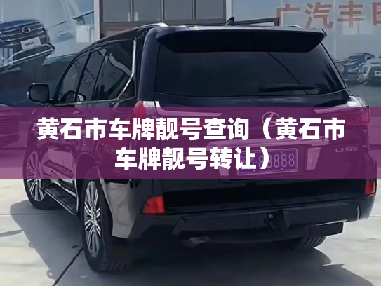 黄石市车牌靓号查询（黄石市车牌靓号转让）