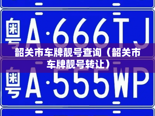 韶关市车牌靓号查询(韶关市车牌靓号转让)-第2张图片-七号汽车选号 韶关市车牌靓号查询(韶关市车牌靓号转让)-第2张图片-七号汽车选号
