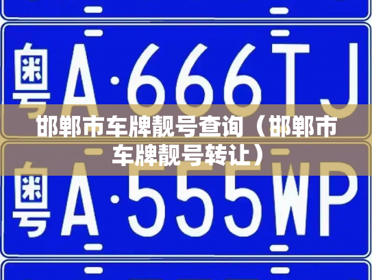 邯郸市车牌靓号查询(邯郸市车牌靓号转让)-第2张图片-七号汽车选号 邯郸市车牌靓号查询(邯郸市车牌靓号转让)-第2张图片-七号汽车选号