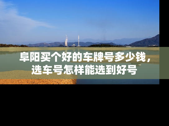 阜阳买个好的车牌号多少钱，选车号怎样能选到好号-第1张图片-七号汽车选号