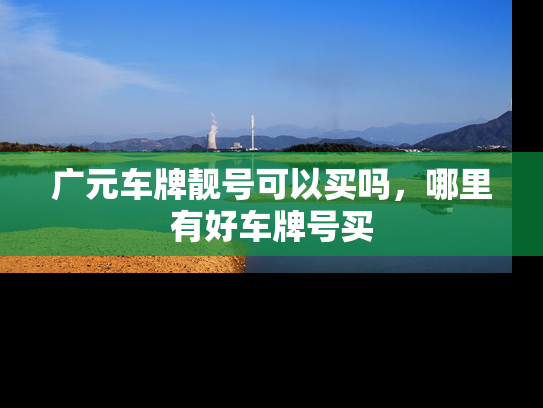 广元车牌靓号可以买吗，哪里有好车牌号买-第1张图片-七号汽车选号
