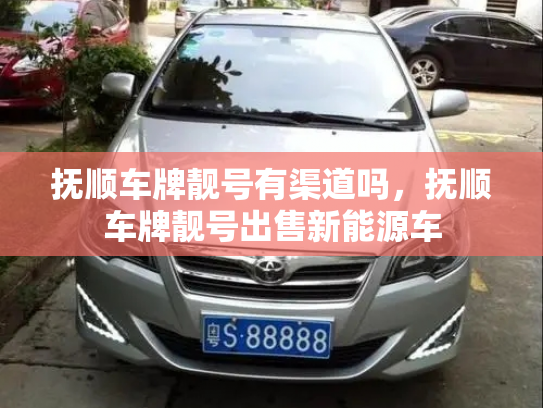 抚顺车牌靓号有渠道吗，抚顺车牌靓号出售新能源车-第2张图片-七号汽车选号