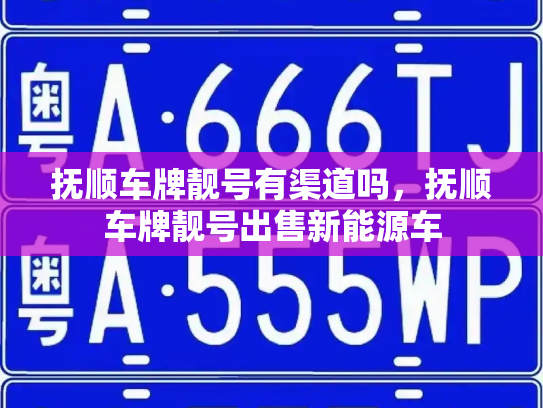 抚顺车牌靓号有渠道吗，抚顺车牌靓号出售新能源车-第3张图片-七号汽车选号