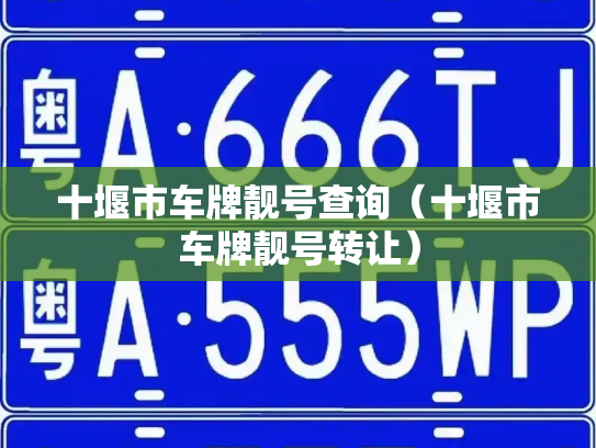十堰市车牌靓号查询(十堰市车牌靓号转让)-第3张图片-七号汽车选号 十堰市车牌靓号查询(十堰市车牌靓号转让)-第3张图片-七号汽车选号