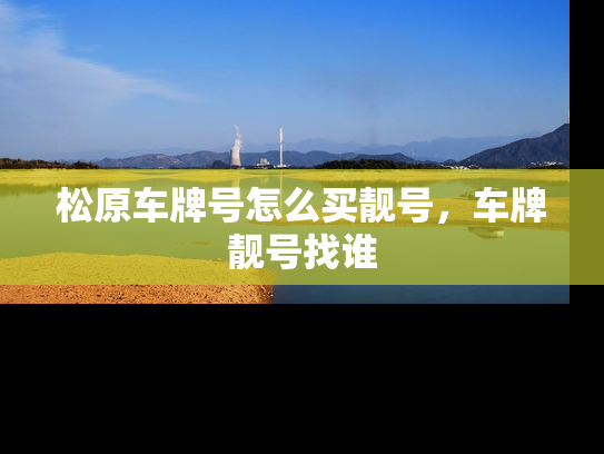 松原车牌号怎么买靓号，车牌靓号找谁-第1张图片-七号汽车选号
