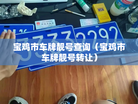 宝鸡市车牌靓号查询（宝鸡市车牌靓号转让）-第2张图片-七号汽车选号
