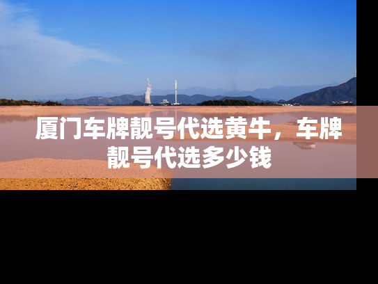 厦门车牌靓号代选黄牛，车牌靓号代选多少钱-第1张图片-七号汽车选号