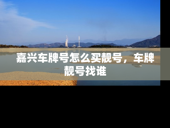 嘉兴车牌号怎么买靓号，车牌靓号找谁-第1张图片-七号汽车选号