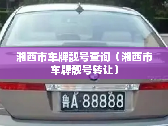 湘西市车牌靓号查询(湘西市车牌靓号转让)-第3张图片-七号汽车选号 湘西市车牌靓号查询(湘西市车牌靓号转让)-第3张图片-七号汽车选号