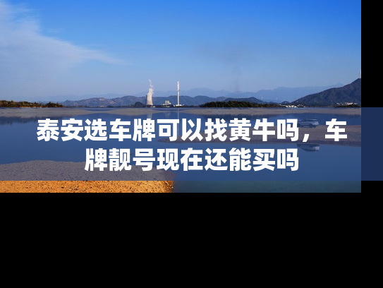泰安选车牌可以找黄牛吗，车牌靓号现在还能买吗-第1张图片-七号汽车选号